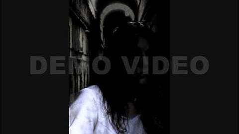 HAUNTEDPROPS.COM  ILLUSIONS DOOR