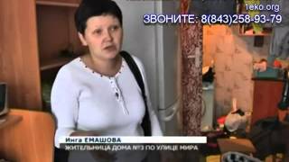 Как вывести клопов из квартиры Как вывести клопов из квартиры