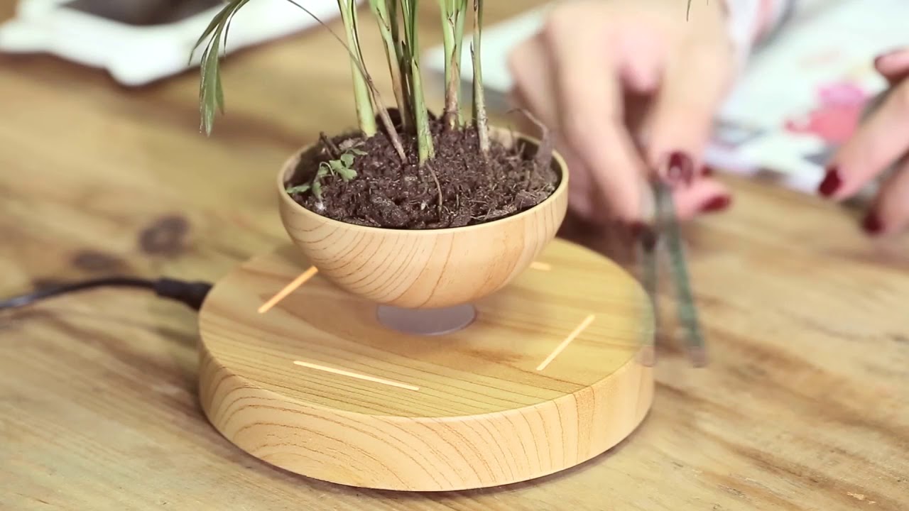 Air Floating Plant Pot that Promotes Balance and Well Being