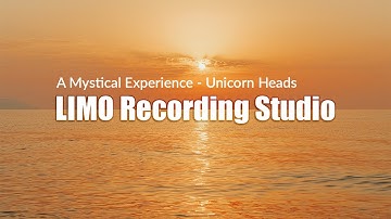 Unicorn Heads - A Mystical Experience (No Copyright Music)