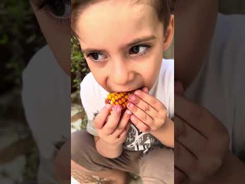 طهينا ذره طلع طعم رهيب 