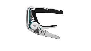 Celebrity 🎸 The #1 problem with Guitar Capos - Taylor and Martin Profile
