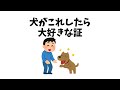 犬がこれしたら大好きな証