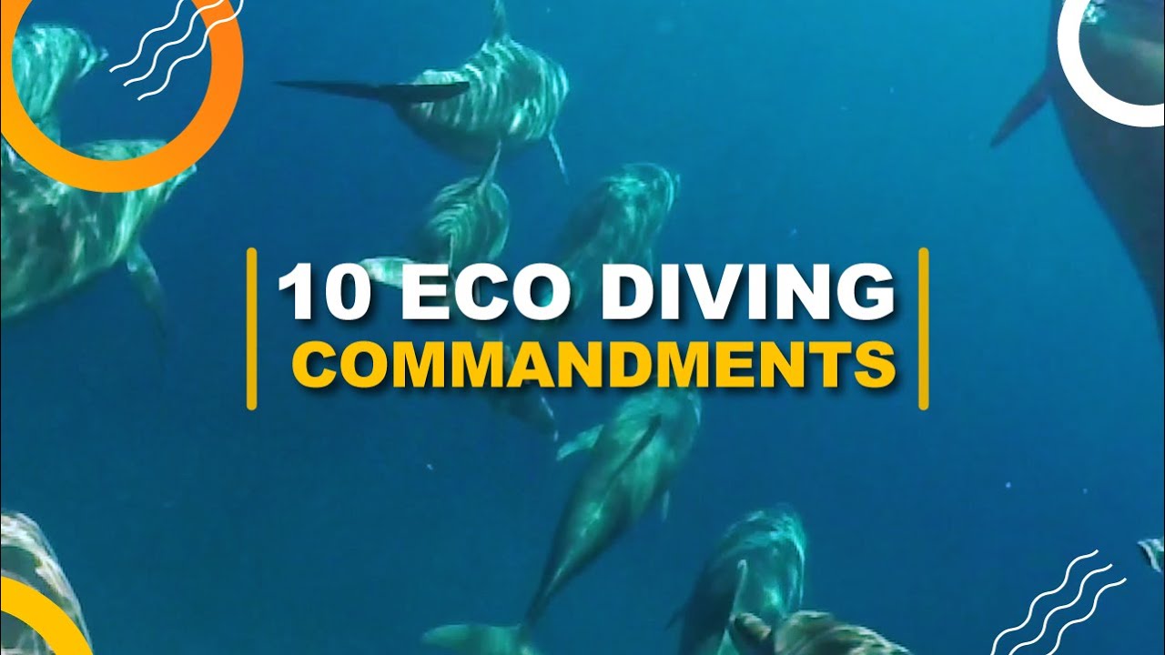 10 ECO DIVING COMMANDMENTS By Dressel Divers