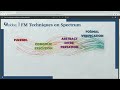 V for Verification, Kostas Ferles - DeFi Security Summit 2022