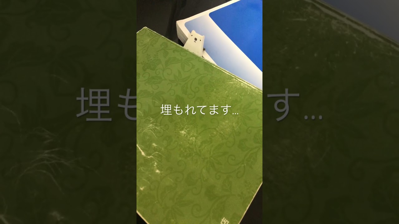 2h勉強21 12 29 Study 勉強 受験 英語 国語 現代文 古文 漢文 世界史 Youtube