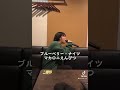 【高校生が歌う】ブルーベリー・ナイツ/マカロニえんぴつ