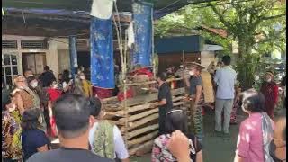 Adat dan Budaya Dayak Uud Danum kecamatan Serawai Ambalau, Kabupaten Sintang,Kalbar!