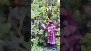 Man mast malang bs tera name duhraye 🥰|Sultan Baloch