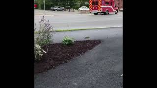 Bangor Maine Fire Department Engine 1 Rescue 1 Ladder 1 Response Code 3