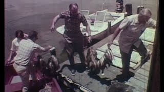 1960's Putnam County, Florida Promotional Film