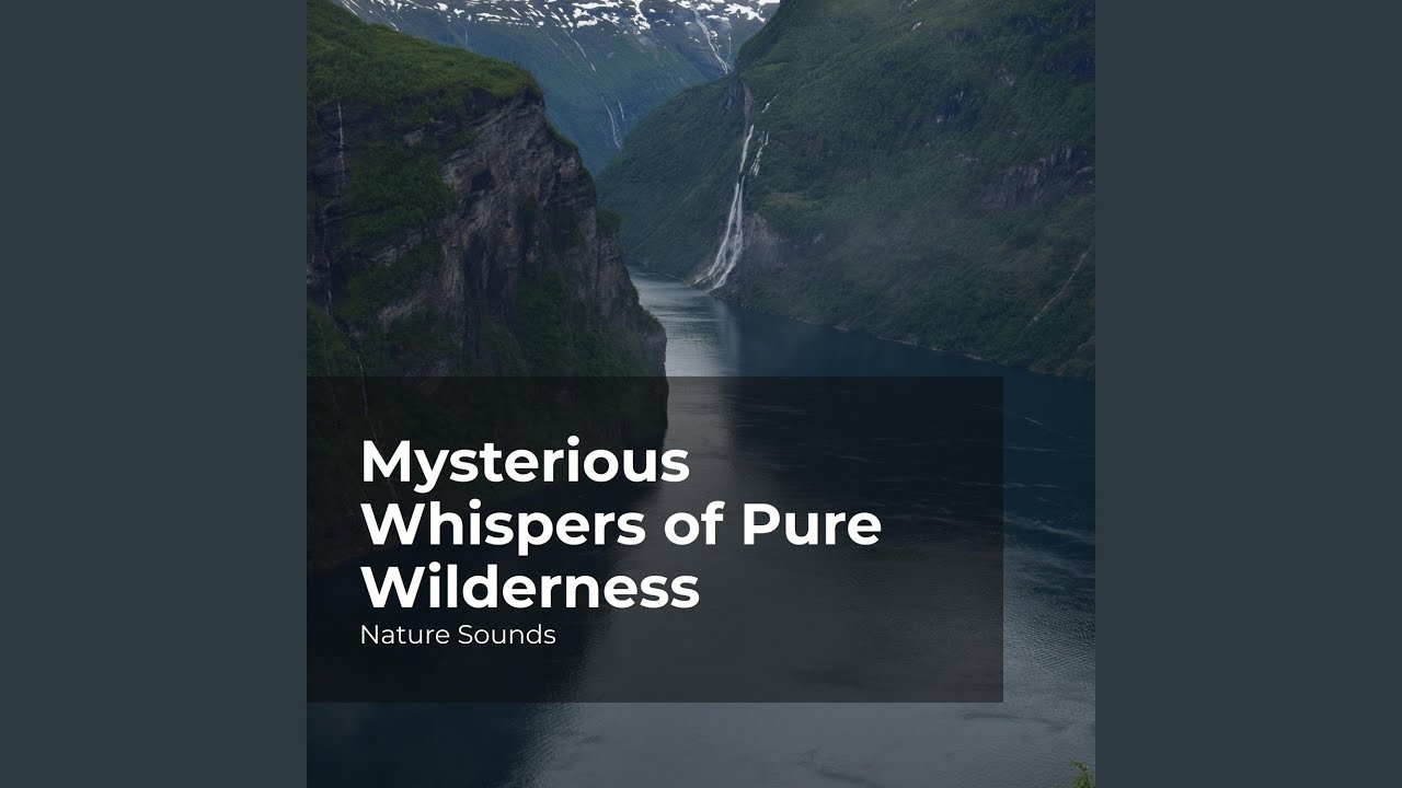 Marvelous Rain Forest