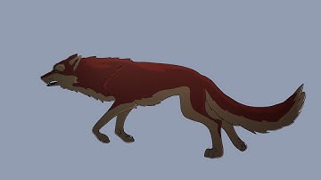 test 2D wolf run animation and camera movement