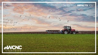 Farmers feeling the impact of federal funding cuts and trade policies