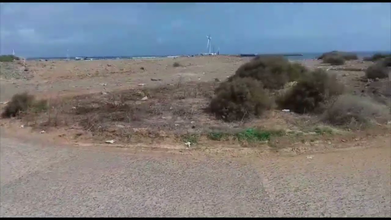 Tomates por molinos, la agricultura abandonada y sustituida por molinos