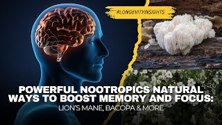 Nootropics Explained: Do They Really Boost Brain? Natural Source of #Nootropics  Lion's Mane, Bacopa