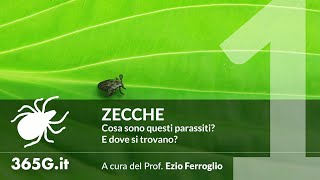 Zecche #1 | Cosa sono questi parassiti e dove si trovano?