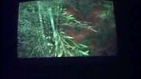 The Matrix : The Path of Neo : Part 5