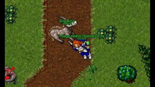 [ TIBIA ] Donkey [ Montaria ] - BRONSON SERVER