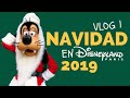 🎄NAVIDAD en Disneyland Paris 2019 - Vlog 1
