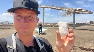 Das weiße Gold von Fuerteventura | Fuerteventura Tour #8