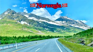 Road Trip Menjelajahi Keagungan Alam di Norwegia Utara