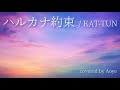 KAT-TUN「ハルカナ約束」歌ってみた【covered by Aoye】