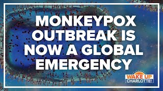 WHO chief declares monkeypox outbreak a global emergency