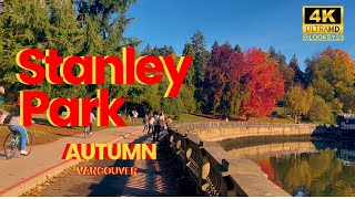 Canada Vancouver Stanley Park Autumn - Free Walking Tour 4K