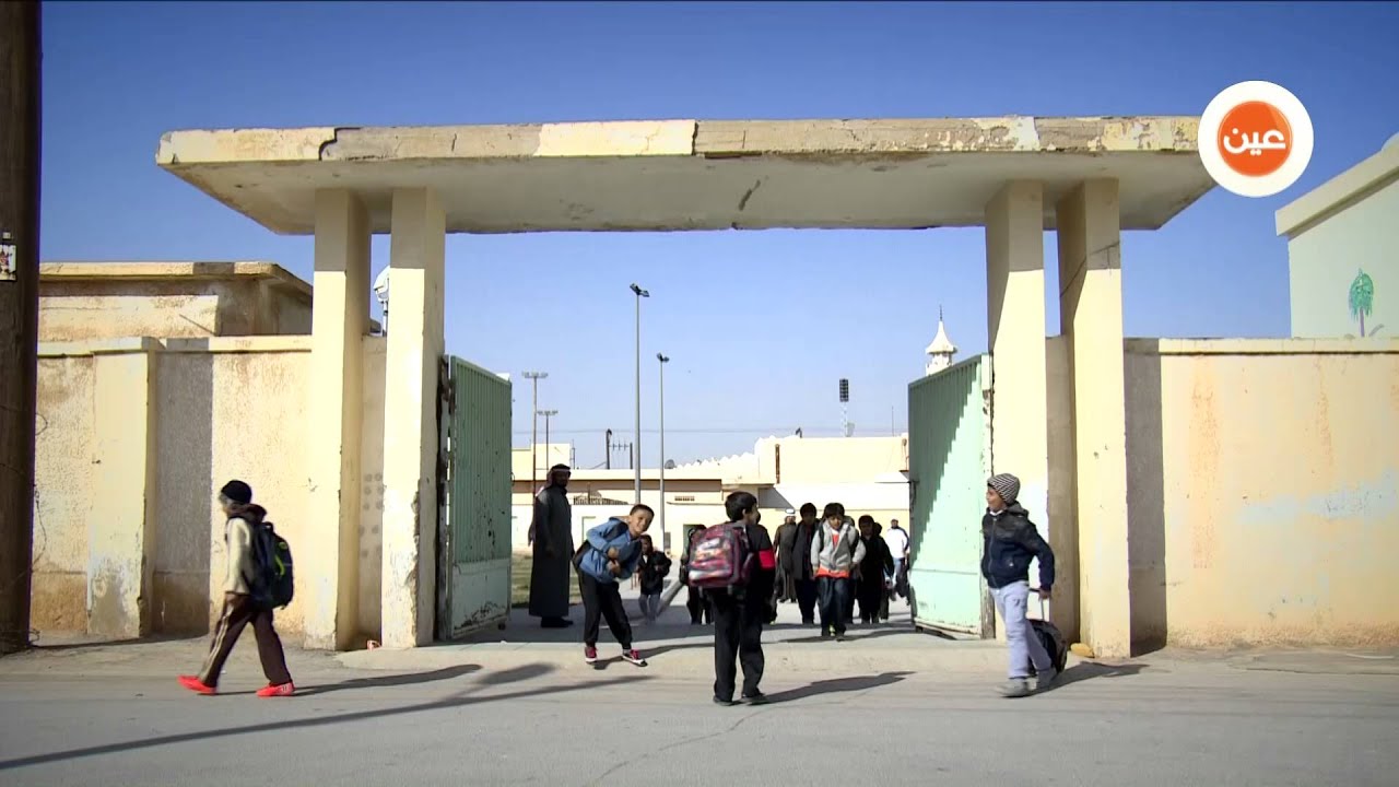 أيقونة الدلم