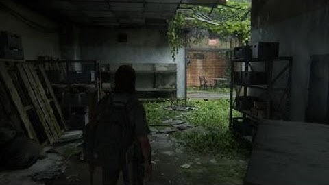 The Last of Us 2 Hillcrest Dogs Grounded Permadeath