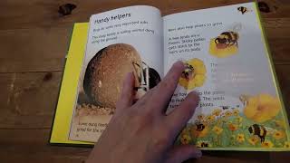 Usborne Beginners Bugs from Once Upon a Book Shop