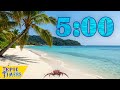 5 Minute Calm and Breezy Coconut Tree Music Timer!