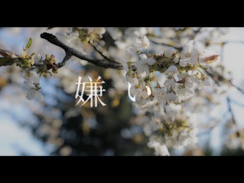 久保あおい / 五色桜に想いを馳せては（Lyric Video） - YouTube