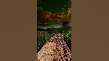 سورة القمر بصوت تخشع له القلوب #القرآن_الكريم #سورة_القمر #اكسبلور