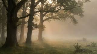 Quiet Time with God | 2 Hour Scripture Meditation &amp; Reflection #bible #music #god