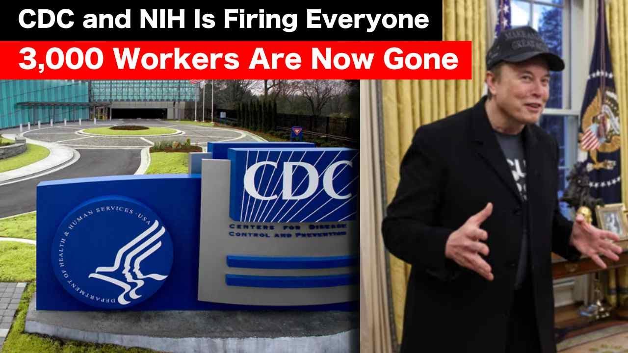 Artistic Cdc Director Fired Update Landscape in HD Artistic Cdc Director Fired Update Landscape in HD