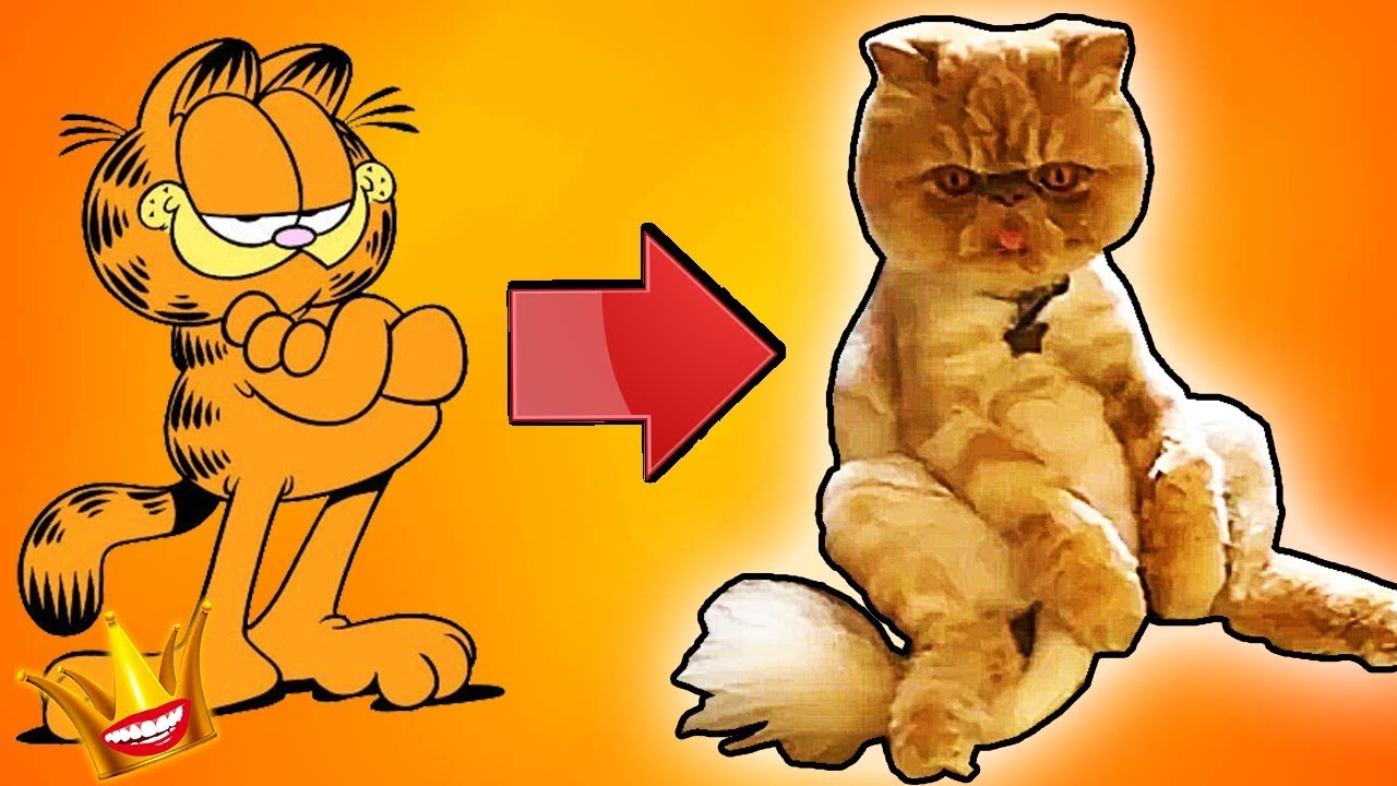 Real Garfield, Cat, Cats, Real Life Garfield Cat, Garfield Cat, Funny, Real...