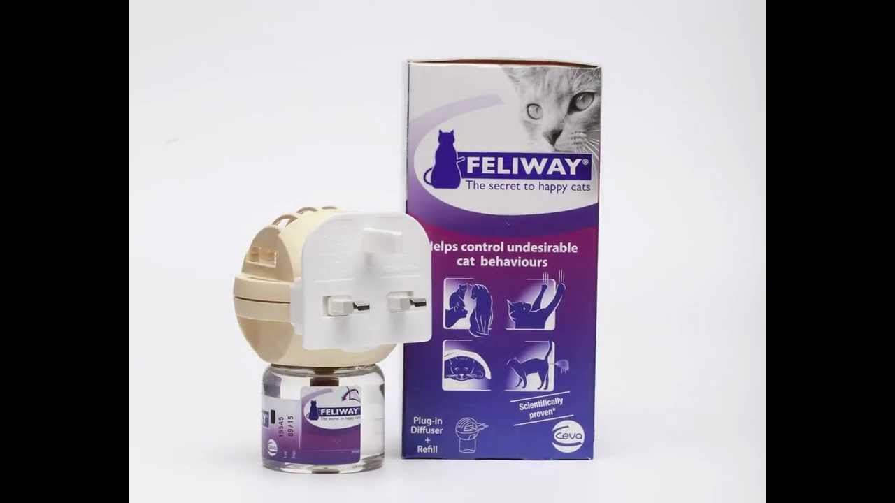 feliway diffuser safety