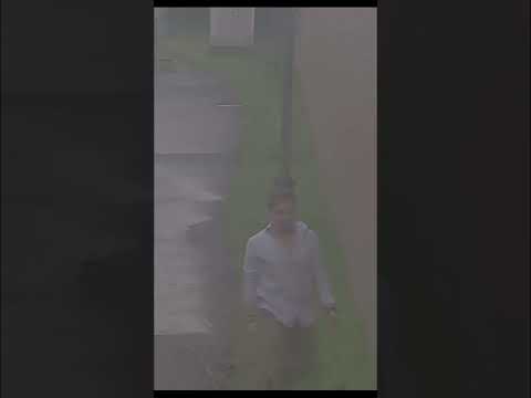 Бродяга дождь 1 Никифоровберег Shorts