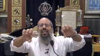 מלחמת הנפשות | הנפש הבהמית מול הנפש האלוקית