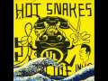 Hot Snakes - LAX