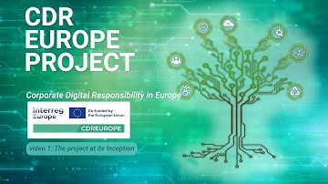 The project at its inception