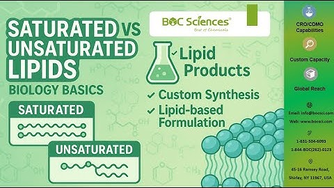 Verzadigde versus onverzadigde lipiden: een korte handleiding voor structuur, functie en stabilit...