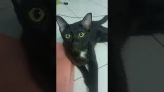 Why Do You Insult Me?