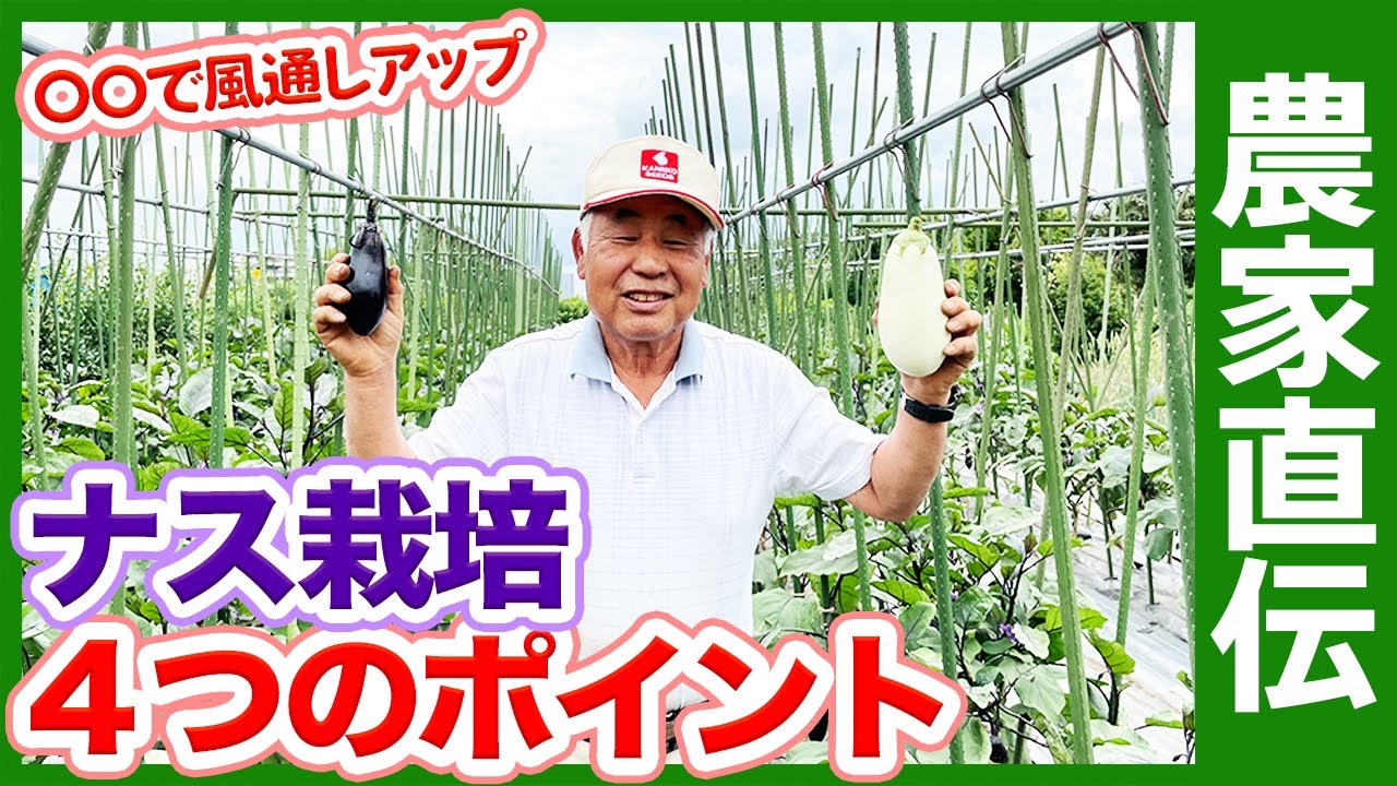 家庭菜園でナス科野菜が終わったら トマト ナス ピーマン後作におすすめの野菜を紹介 連作障害を気にせず楽しめる野菜とは 輪作 農園ライフ Youtube