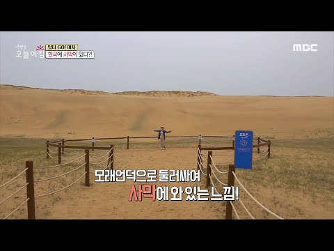 신두리