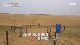 [생방송 오늘 아침] 한국의 사막 '신두리 해안사구', MBC 230419 방송