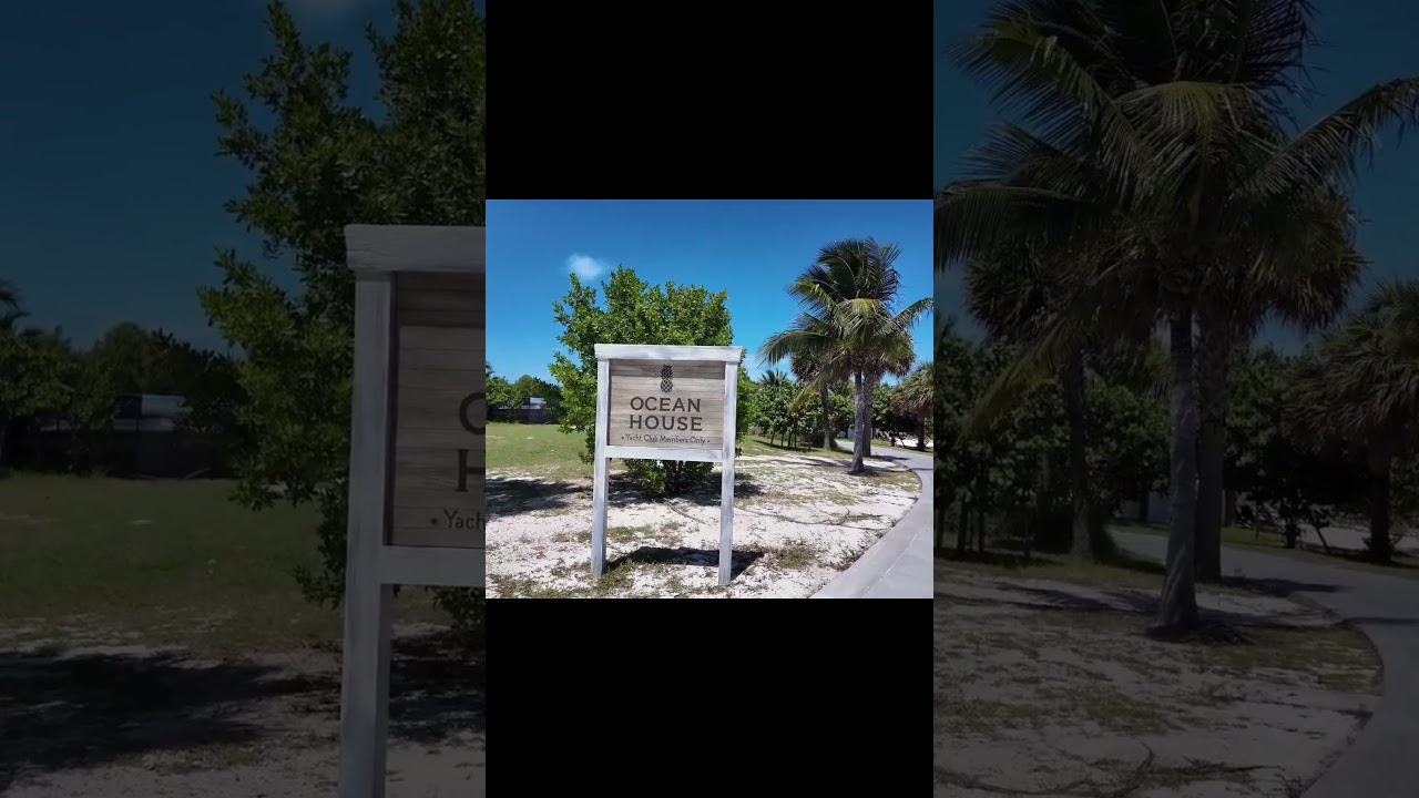 The Only Island Open UNTIL MIDNIGHT 💡 