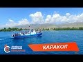 КАРАКОЛ Сыймык Бейшекеев